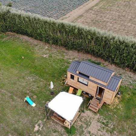Отель Tiny House Sur La Presqu'Ile Sauvage Lanmodez Экстерьер фото